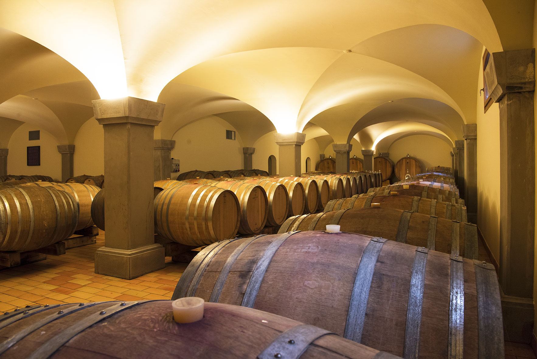 cantina-luisa-1